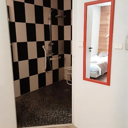 Отель Acacia Nancy Sud Luneville 2*