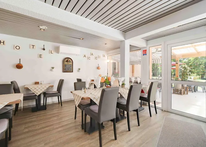 Hotel Acacia Nancy Sud Luneville 2*