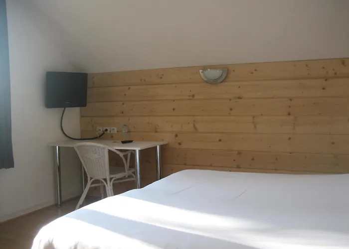 Otel Acacia Nancy Sud Luneville 2*